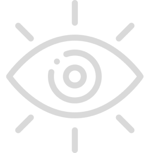 Vision